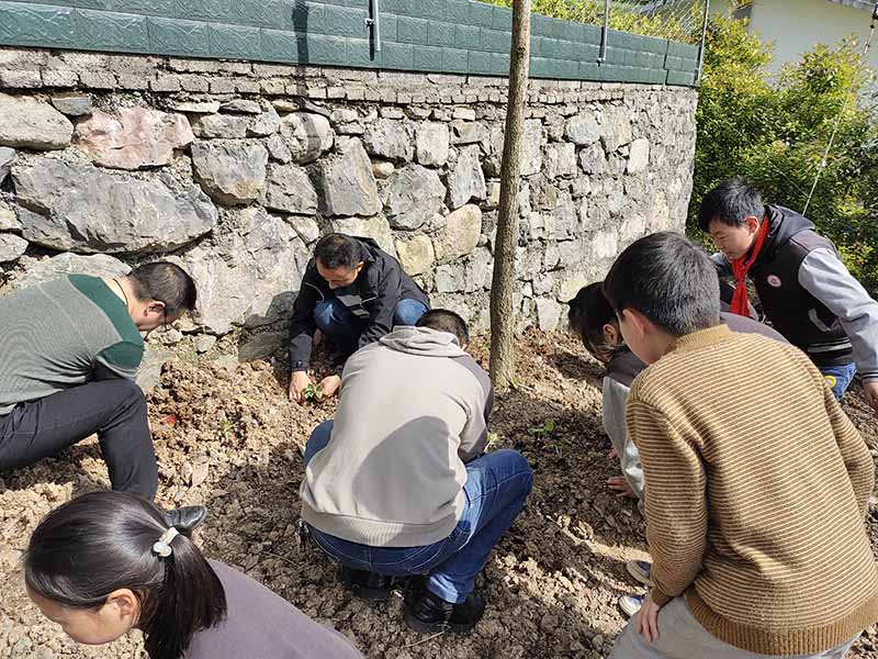 ����һ����̫�� �N������