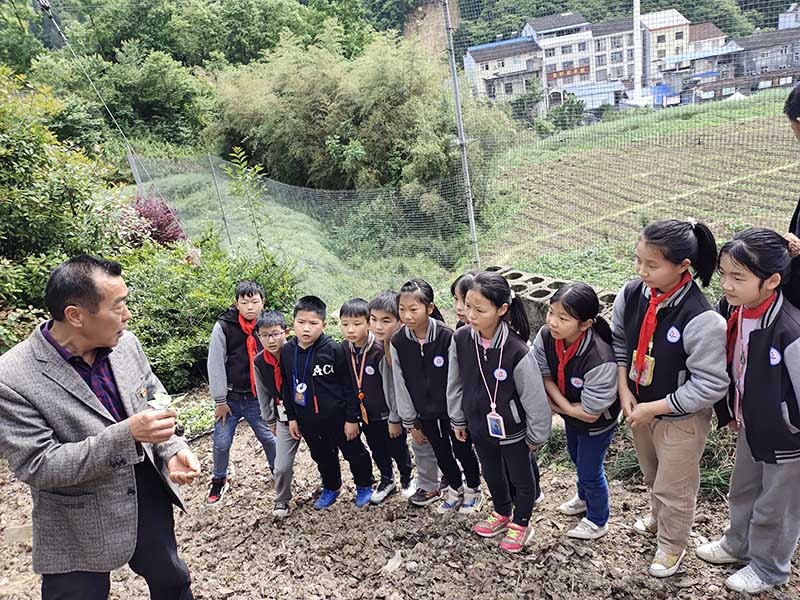 �̎��v�����缼�g(sh��)