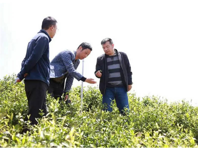 �^(q��)���O����Ո���ҵ����g���^�c����̽ӑ�Nֲ���g�����\���z