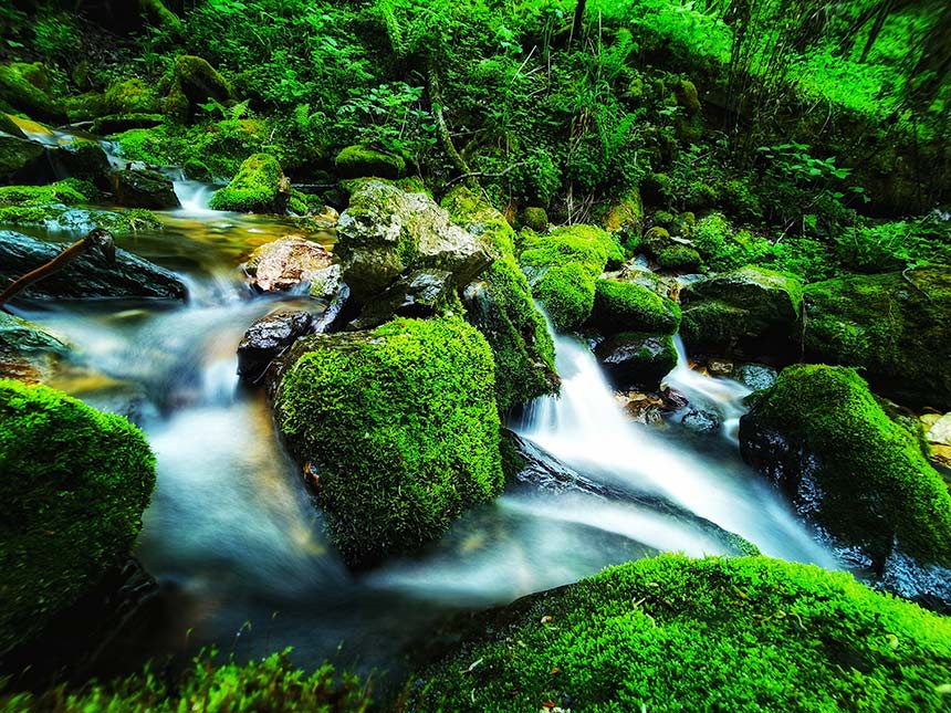 ���r(n��ng)����������ȼ�z