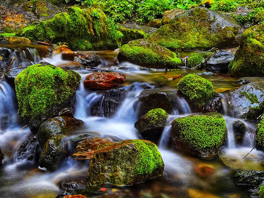 ���r(n��ng)����������ȼ�z