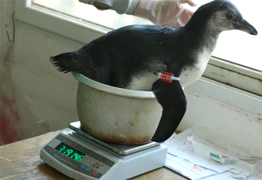 ��h����@�������ϭh(hu��n)���Z������������h����@���D