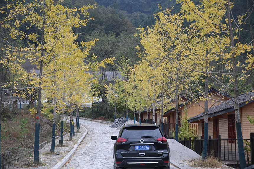 ���S�y�������S����l(xi��ng)�����^�p���Ό�ϲ�z