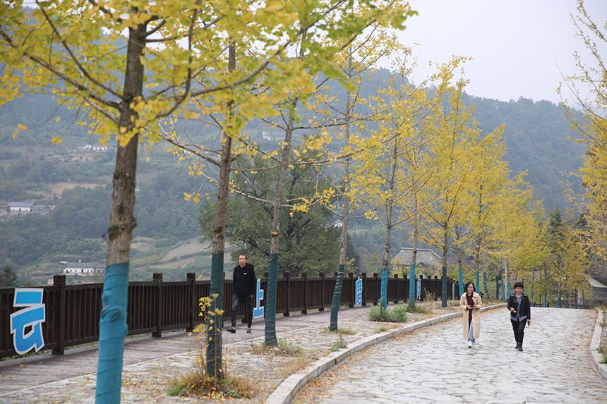 ���S�y�������S����l(xi��ng)�����^�p���Ό�ϲ�z