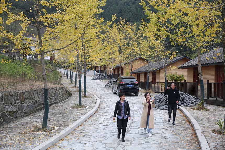 ���S�y�������S����l(xi��ng)�����^�p���Ό�ϲ�z