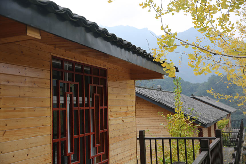 ���S�y�������S����l(xi��ng)�����^�p���Ό�ϲ�z