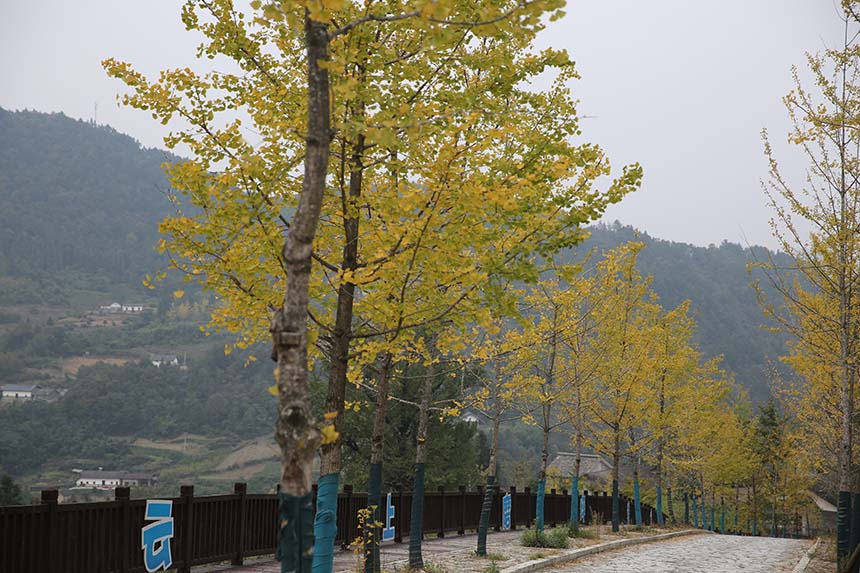 ���S�y�������S����l(xi��ng)�����^�p���Ό�ϲ�z