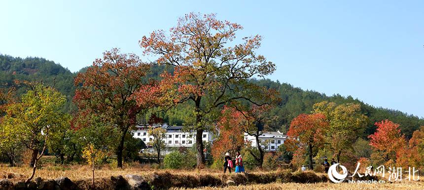 �����_��t�~չ¶�^����퍡�4��