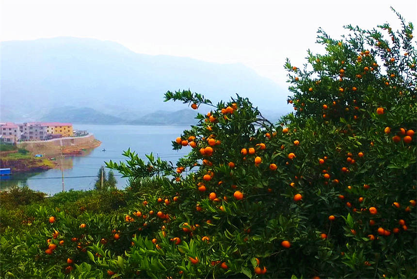 ���و@�ﵽ̎���S�յľ������섦�z