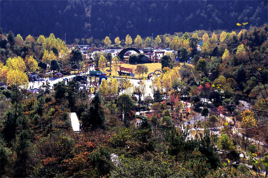 湖北十堰:“城市綠肺”秋色怡人【5】