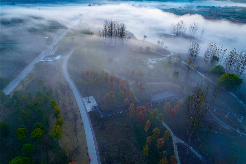 �ޏ�(f��)����S�غ����B(t��i)��جF(xi��n)��Ҋ�Ķ����ƺ����^��