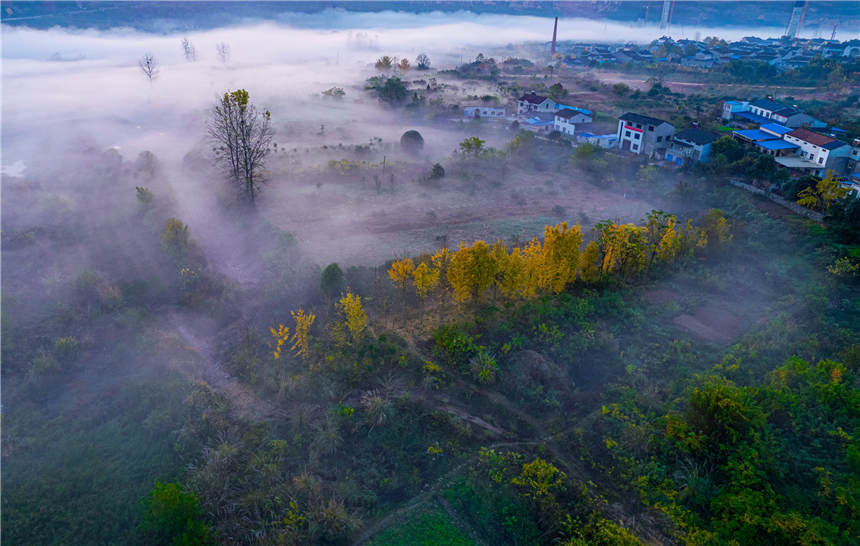 �ޏ�(f��)����S�غ����B(t��i)��جF(xi��n)��Ҋ(ji��n)�Ķ����ƺ����^��