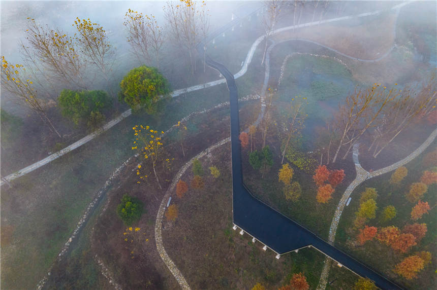 �ޏ�(f��)����S�غ����B(t��i)��جF(xi��n)��Ҋ�Ķ����ƺ����^��