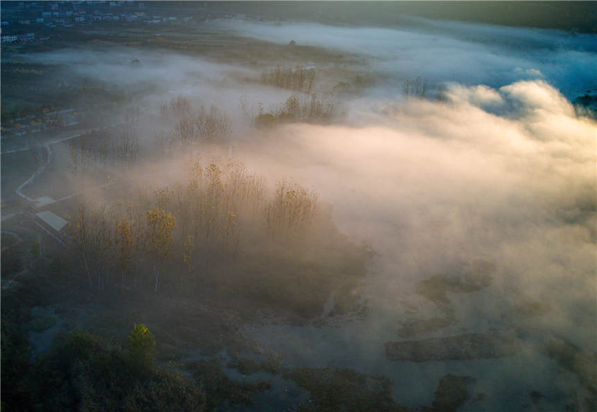 �ޏ�(f��)����S�غ����B(t��i)��جF(xi��n)��Ҋ�Ķ����ƺ����^��