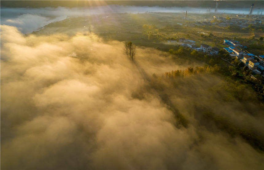 �ޏ�(f��)����S�غ����B(t��i)��جF(xi��n)��Ҋ�Ķ����ƺ����^��