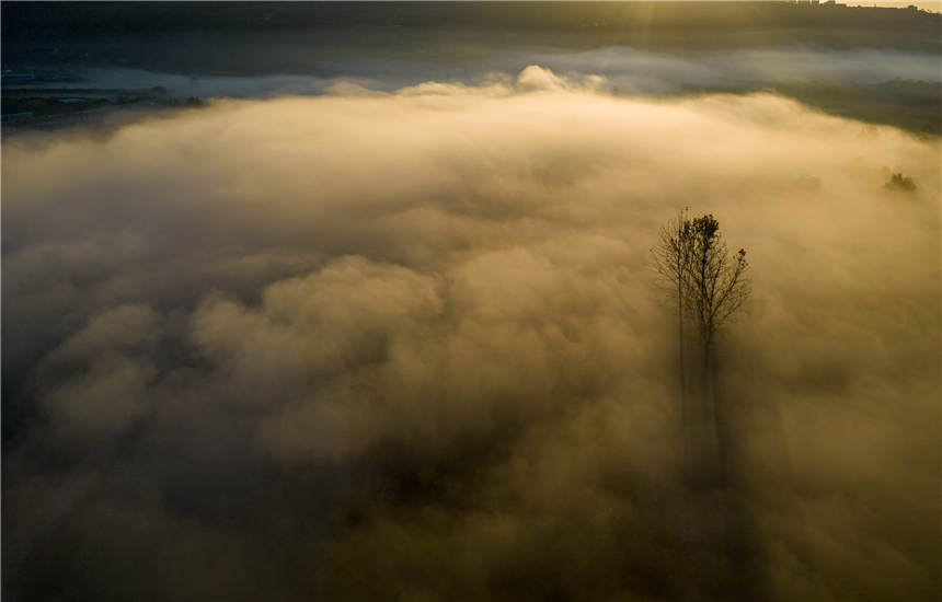 �ޏ�(f��)����S�غ����B(t��i)��جF(xi��n)��Ҋ�Ķ����ƺ����^��