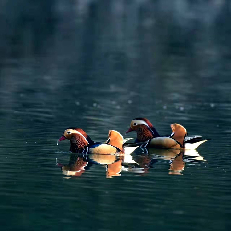 ������ʼ�����B(t��i)�� �x������2��