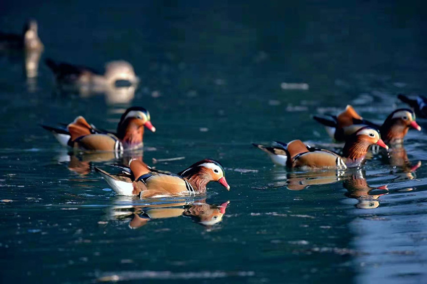 ������ʼ�����B(t��i)�� �x������3��