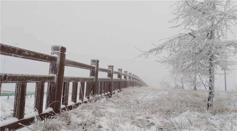 �y�b�ع� ѩ�����r(n��ng)������ͯԒ���硾2��