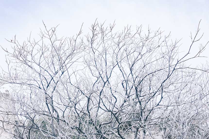 �����t�����Ͼ�ɽѩ����V �F(xi��n)����䭂������4��