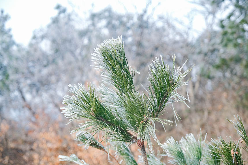 �����t�����Ͼ�ɽѩ����V �F(xi��n)����䭂������7��