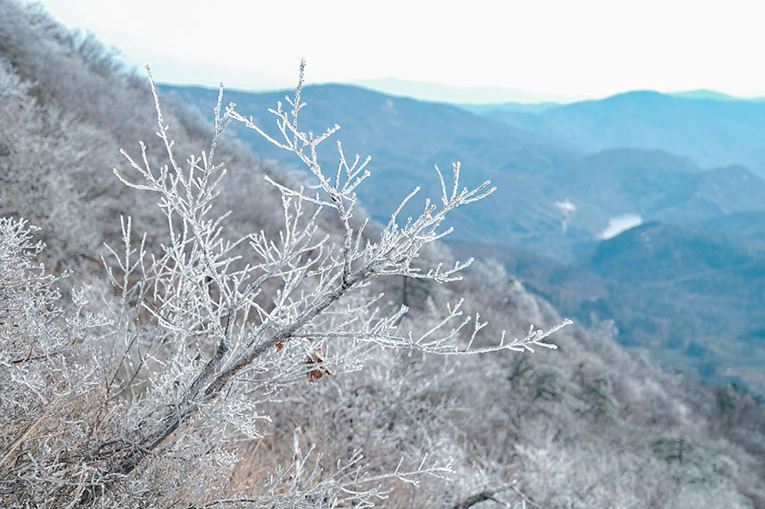 �����t�����Ͼ�ɽѩ����V �F(xi��n)�����(sh��)��������14��