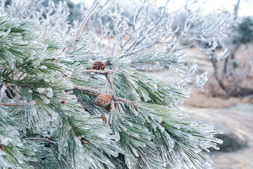 �����t�����Ͼ�ɽѩ����V �F(xi��n)����䭂������8��