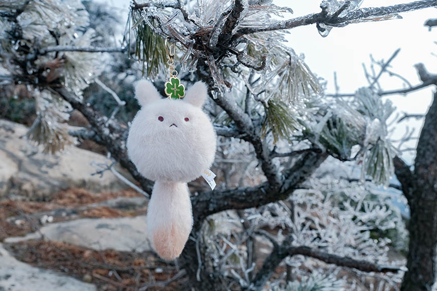 �����t�����Ͼ�ɽѩ����V �F(xi��n)����䭂������9��