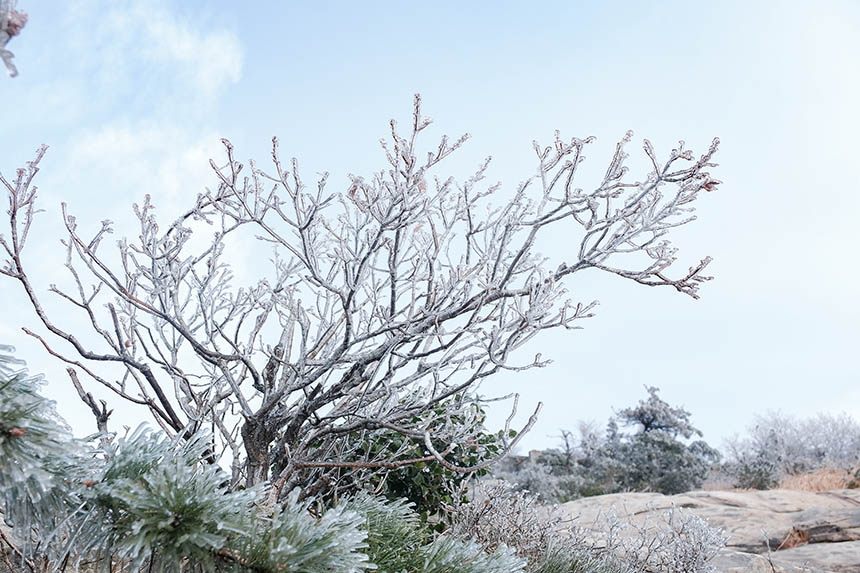 �����t�����Ͼ�ɽѩ����V �F(xi��n)����䭂������17��