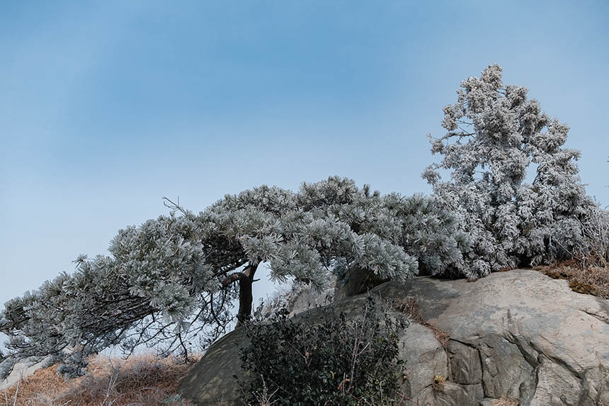 �����t�����Ͼ�ɽѩ����V �F(xi��n)����䭂������19��