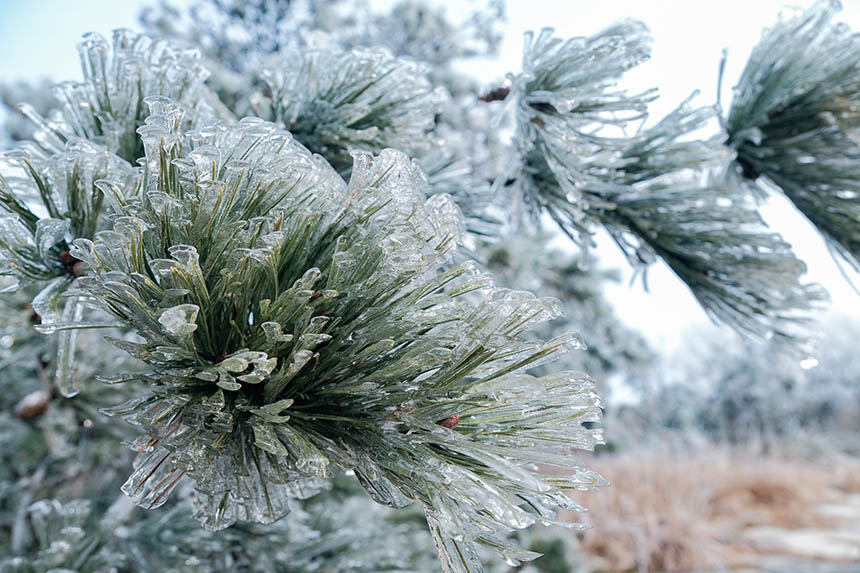 �����t�����Ͼ�ɽѩ����V �F(xi��n)����䭂������18��