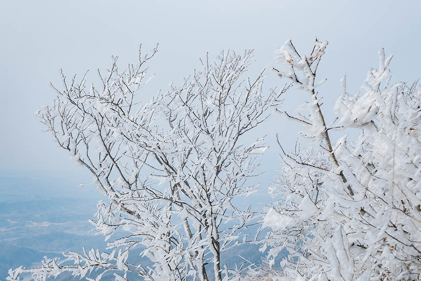 �����t�����Ͼ�ɽѩ����V �F(xi��n)�����(sh��)��������21��