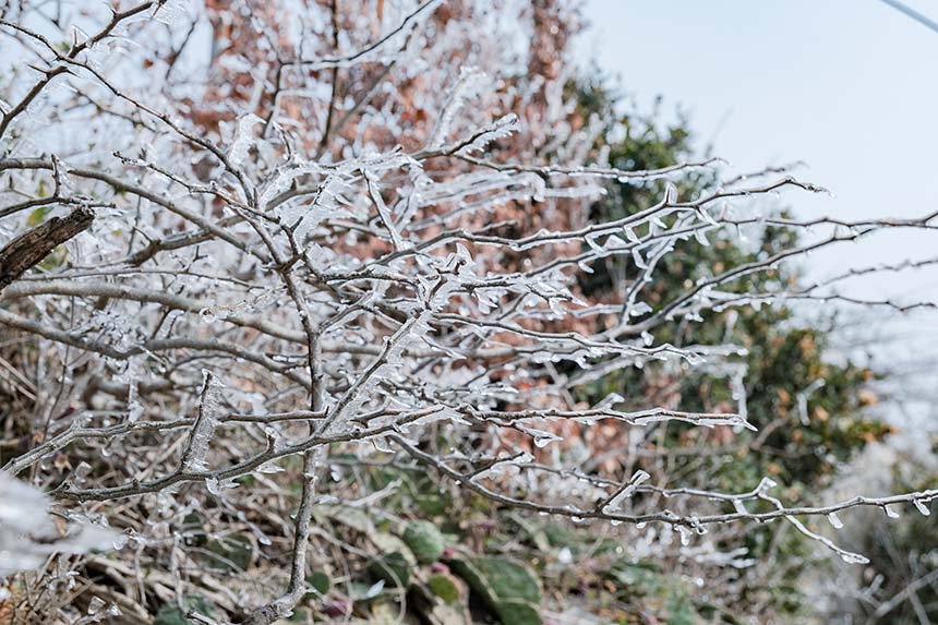 �����t�����Ͼ�ɽѩ����V �F(xi��n)����䭂����