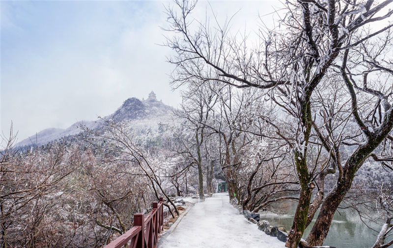 �����S�ݴ��ɽ����ɽ�Fڡ �������ơ�5��