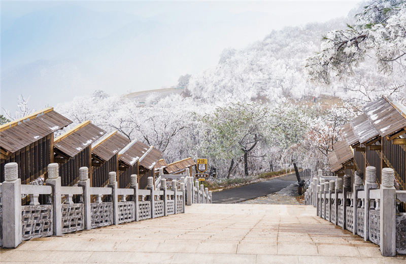 �����S�ݴ��ɽ����ɽ�Fڡ �������ơ�4��