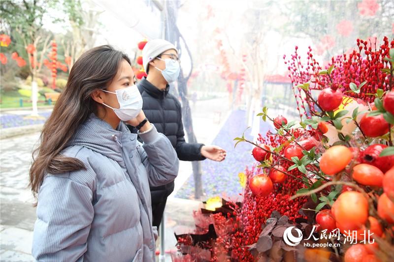 �仨��������W(w��ng) �����K�z