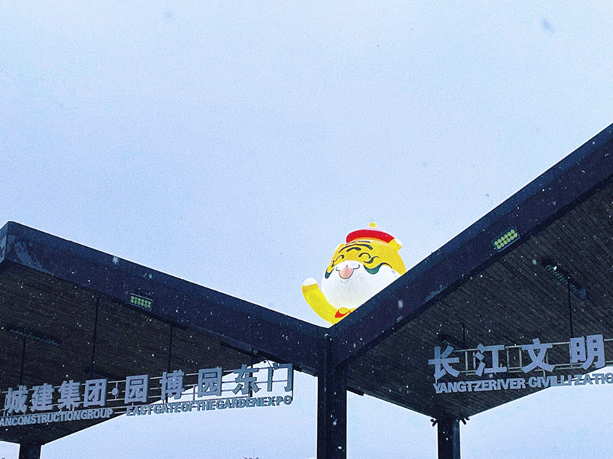 �����ϻ����ڈ@���@��(n��i)�����������c�_���h���ѩ�������xӳ�����o�z