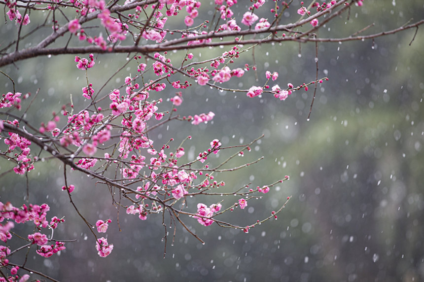 ÷��ӭѩʢ�_���̾��z