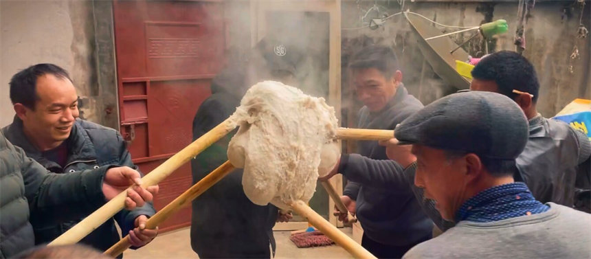 �����t����������������z 