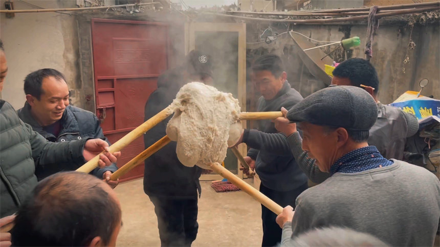 �����t����������������z 