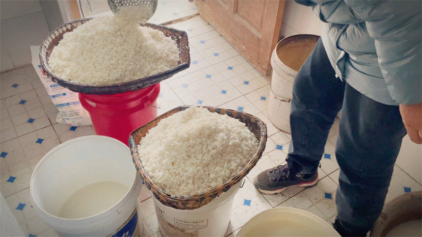 �����t����������������z 