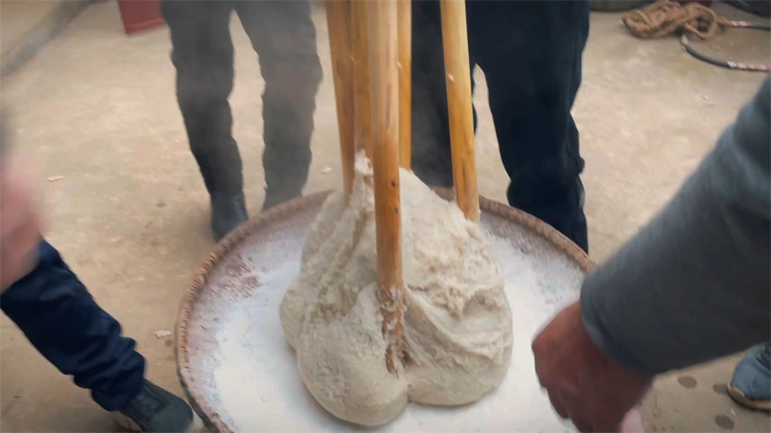 �����t����������������z 