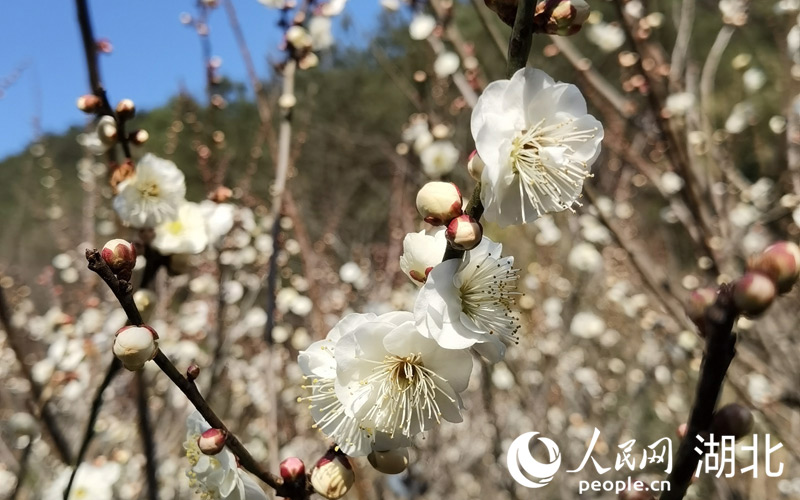 2��4������hӭ�����`���G��������񼊼����������p��̤�࣬ϲ�c��ζ�������������W(w��ng) �����z