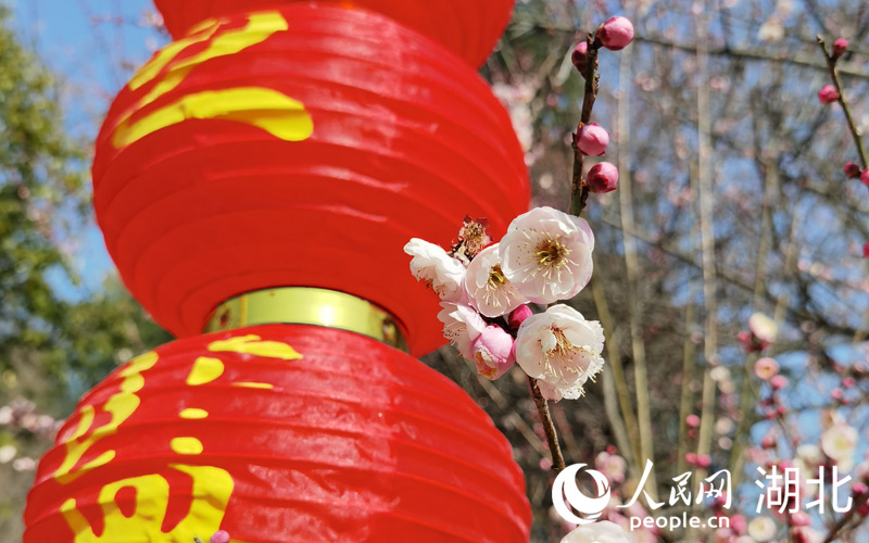 2��4������hӭ�����`���G��������񼊼����������p��̤����ϲ�c��ζ�������������W(w��ng) �����z