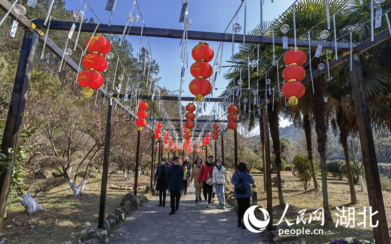 2��4������hӭ�����`���G��������񼊼����������p��̤����ϲ�c��ζ�������������W(w��ng) �����z