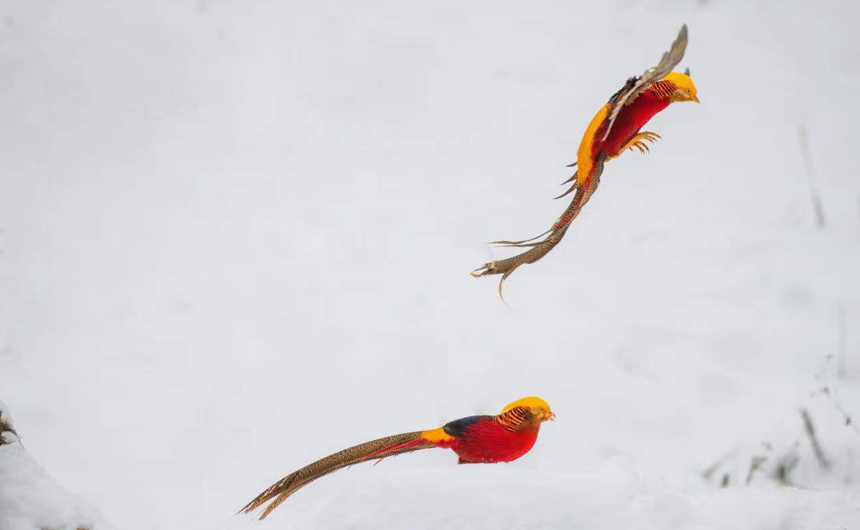 ������ʼ���t���\�uѩ���w�� ���箋���P�ˡ�3��