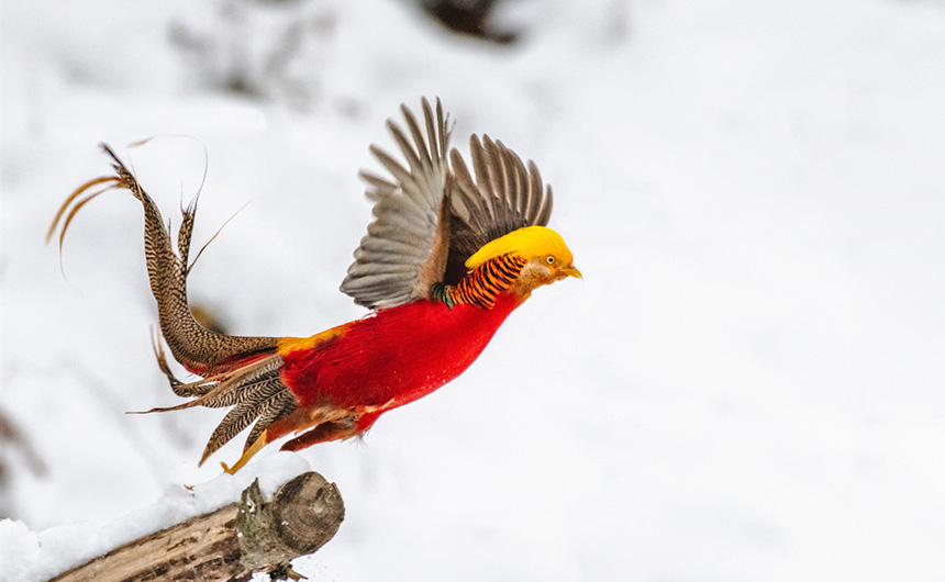 ������ʼ���t���\�uѩ���w�� ���箋���P�ˡ�5��