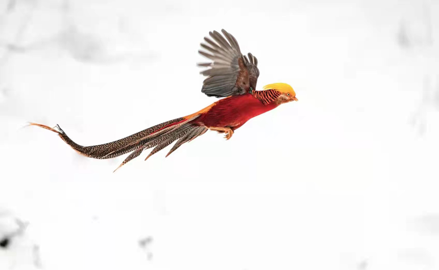 ������ʼ���t���\�uѩ���w�� ���箋���P�ˡ�6��