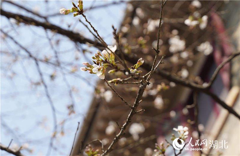 ��h��W(xu��)У�@��(n��i)���֙ѻ��ѽ�(j��ng)��Ȼ�`��������W(w��ng) �����ɔz