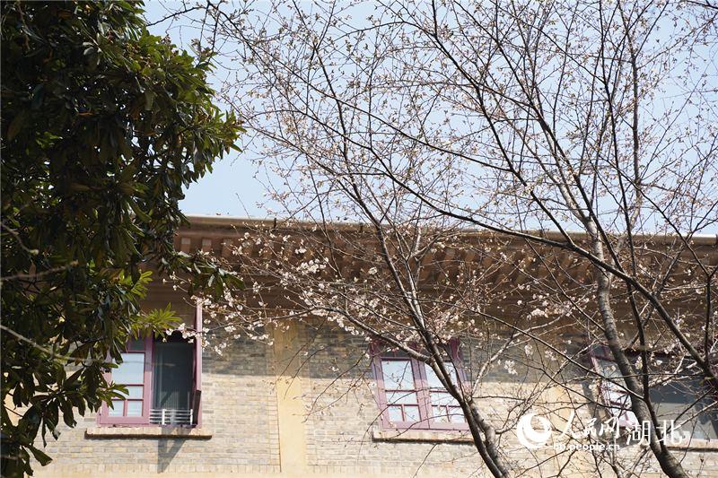 ��h��W(xu��)У�@��(n��i)���֙ѻ��ѽ�(j��ng)��Ȼ�`�š�����W(w��ng) �����ɔz